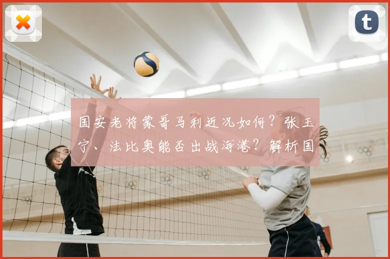 国安老将蒙哥马利近况如何？张玉宁、法比奥能否出战海港？解析国安2026赛季队内领袖与关键球员状态