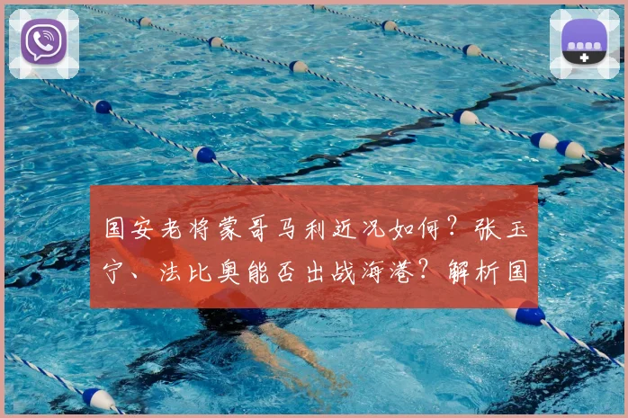 国安老将蒙哥马利近况如何?张玉宁、法比奥能否出战海港?解析国安2026赛季队内领袖与关键球员状态
