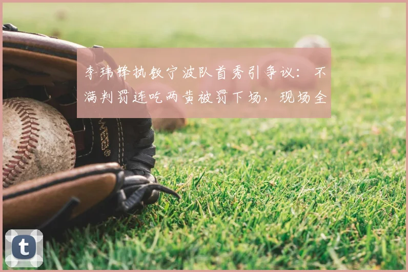 李玮锋执教宁波队首秀引争议：不满判罚连吃两黄被罚下场，现场全过程回顾